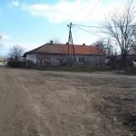 opstina gradsko galerija (101)