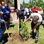 opstina gradsko galerija (26)