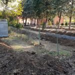 opstina gradsko galerija (38)