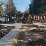 opstina gradsko galerija (47)