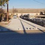 opstina gradsko galerija (60)