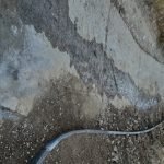 opstina gradsko galerija (62)