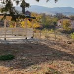 opstina gradsko galerija (66)